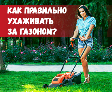 Как правильно ухаживать за газоном?