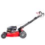 Газонокосилка бензиновая самоходная с двигателем FUBAG Honda FPL 56 SMH в Челябинске фото