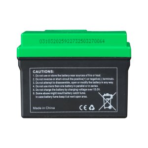 Аккумулятор FUBAG li-ion 3Ah для инверторного генератора TI 11000 A ES (арт. 646211) купить в Челябинске